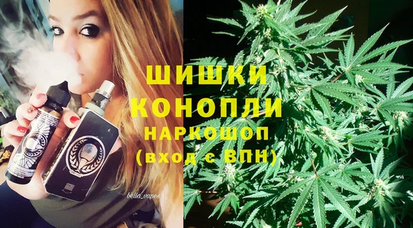 винт Абаза