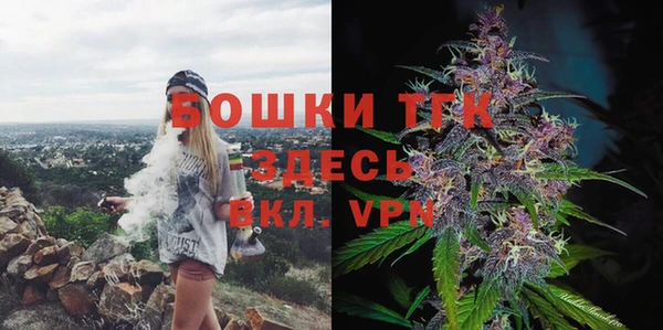 крисы Мегион