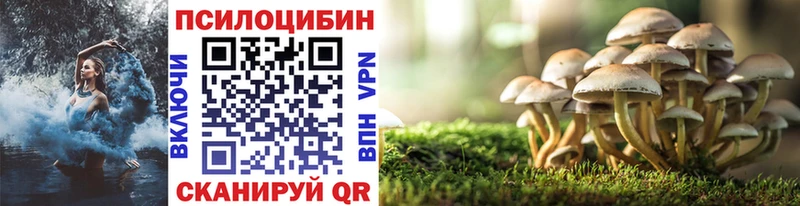 Галлюциногенные грибы мицелий  darknet формула  Электросталь  где купить наркотик 