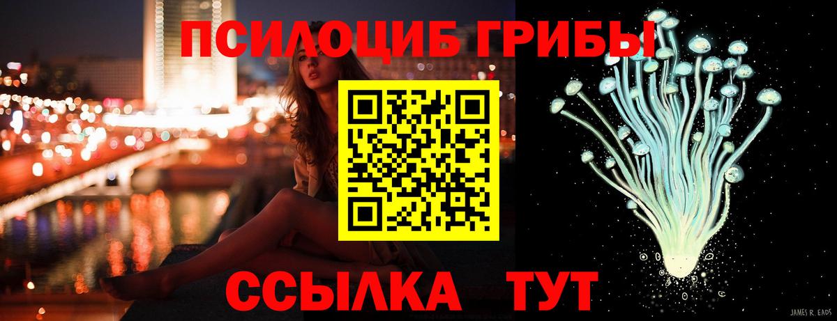 Галлюциногенные грибы Psilocybine cubensis  Вход с VPN  Электросталь  Псилоцибиновые грибы мухоморы 