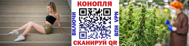 Бошки марихуана OG Kush  Электросталь 